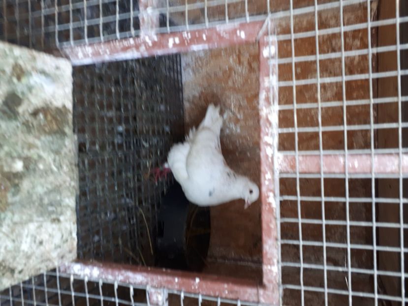  - DE VANZARE IULIE 2020