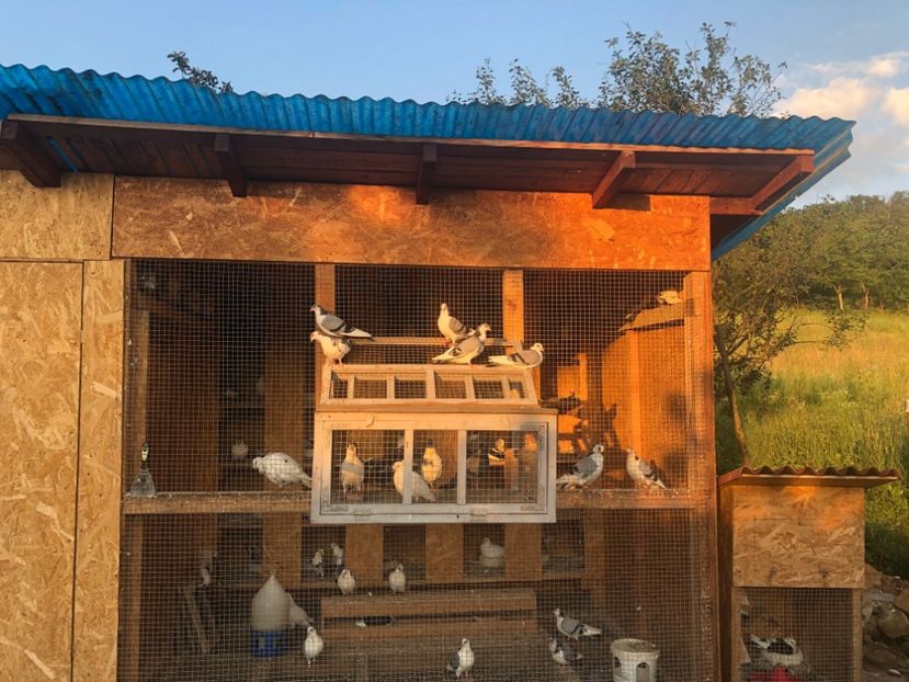  - 00000001 pe afară