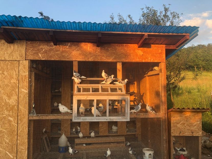  - 00000001 pe afară