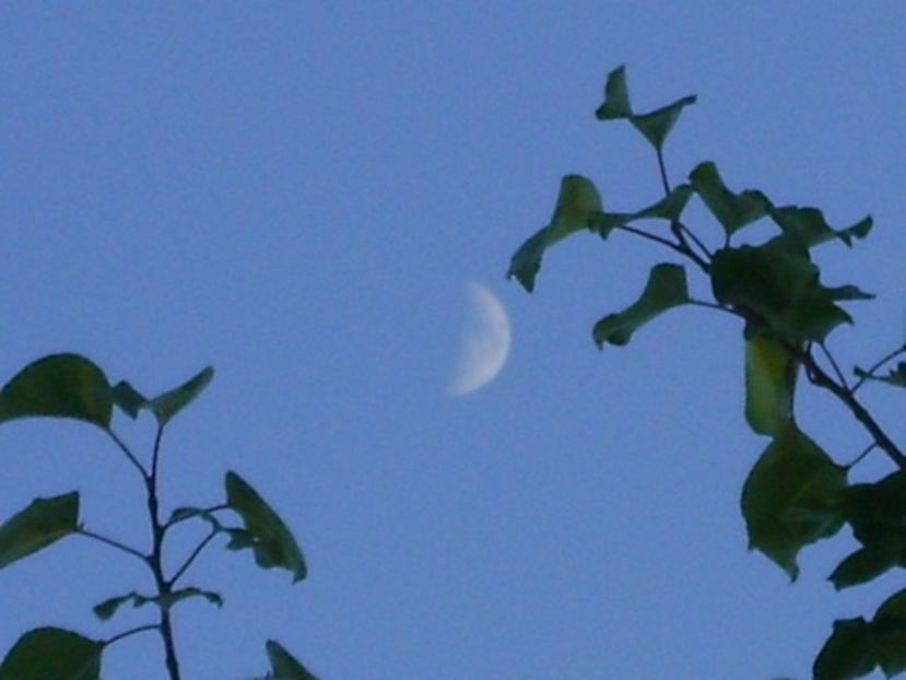 Luna in crestere in Fecioara - Luna - Soarele si norii - 2