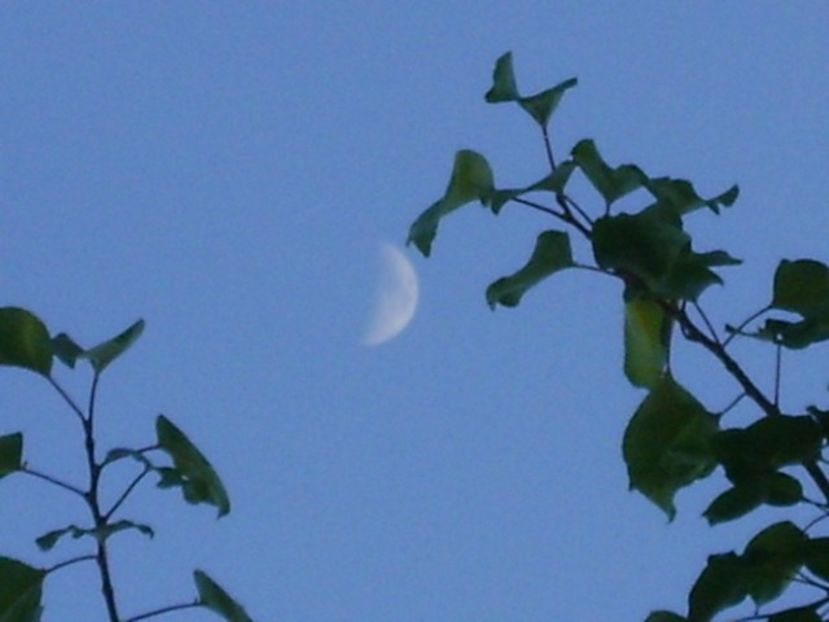 Luna in crestere in Fecioara - Luna - Soarele si norii - 2