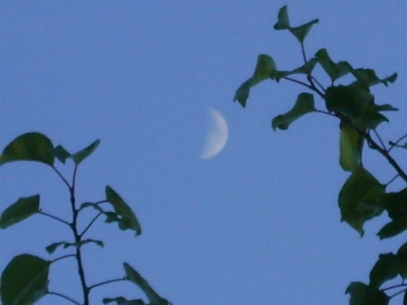 Luna in crestere in Fecioara - Luna - Soarele si norii - 2