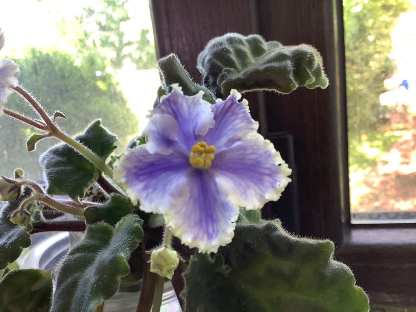 B850BCCC-F30E-49CF-9DD2-C665DCCFE78D - Key Yoki