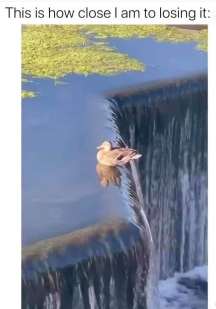  - are there any good ones left