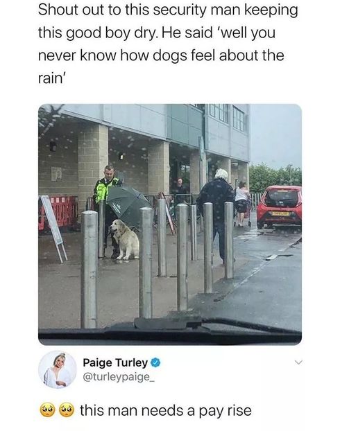  - are there any good ones left