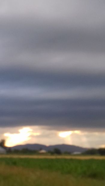  - - O - Fotografii x