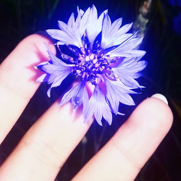  - - O - Fotografii x