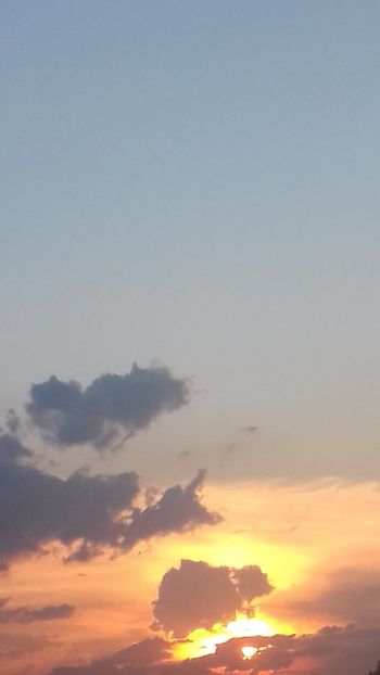  - - O - Fotografii x