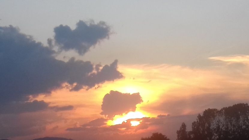  - - O - Fotografii x