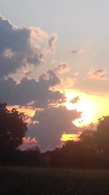  - - O - Fotografii x