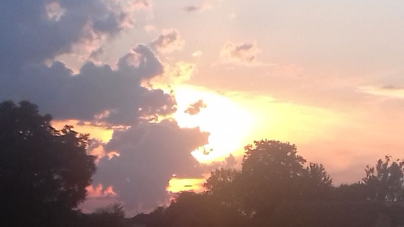  - - O - Fotografii x