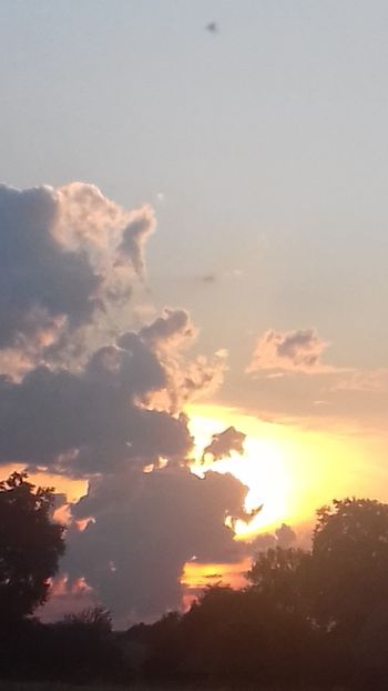  - - O - Fotografii x