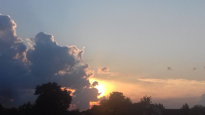  - - O - Fotografii x