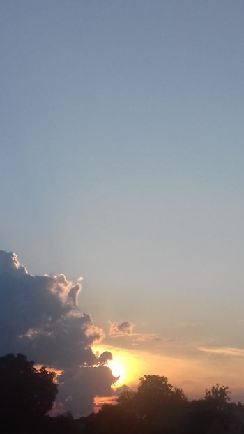  - - O - Fotografii x