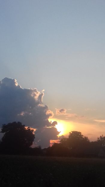  - - O - Fotografii x