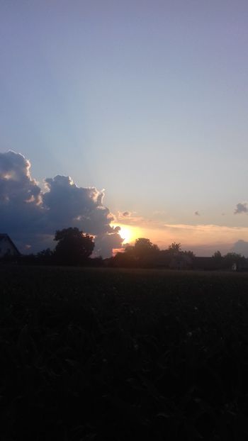  - - O - Fotografii x