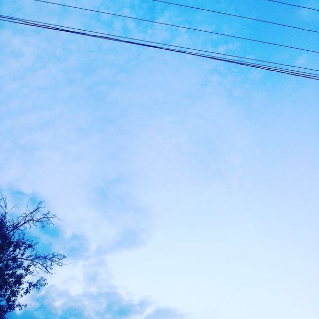  - - O - Fotografii x