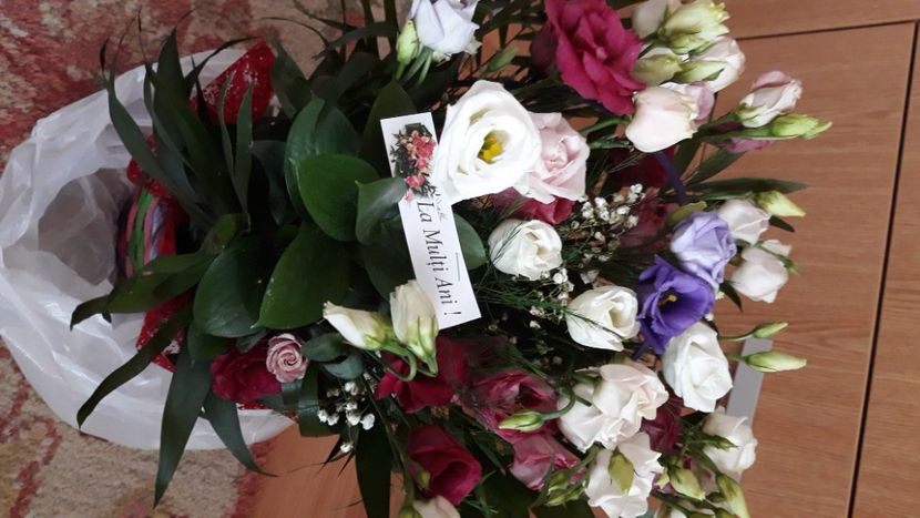 Primit în dar de la familia mea, la zi de nastere! - Colectia mea