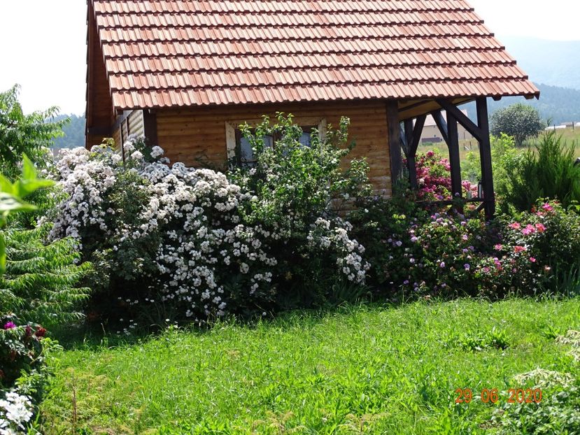 Dentelle de Malines - Dobarland 2020 4