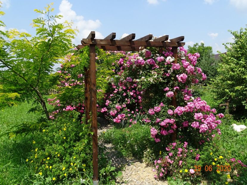 Dorothy Perkins - Dobarland 2020 4