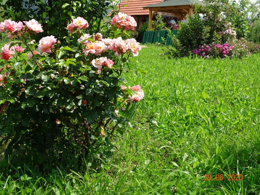 Marie Curie - Dobarland 2020 4