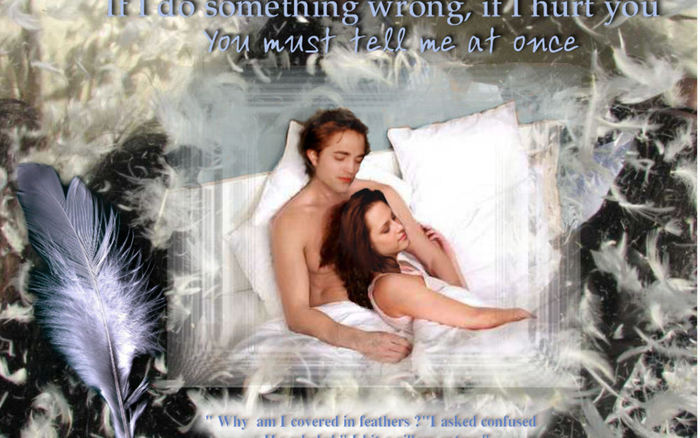 Bella-and-Edward-feathers-fan-made-twilight-series-3824942-1000-763 - Twilight