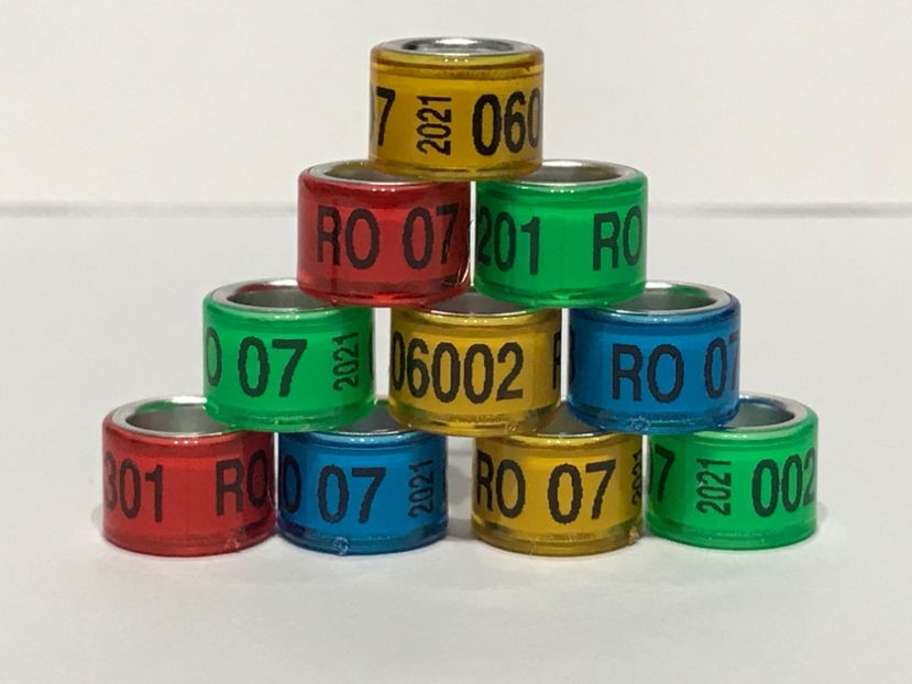 5304F016-19FB-4F0B-A109-F3584586EF20 - 001 Inele Amatori 2021