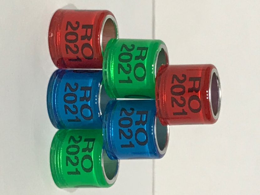 0F3F2270-6858-4F2D-A3E2-7FDA1C63FE03 - 001 Inele Amatori 2021