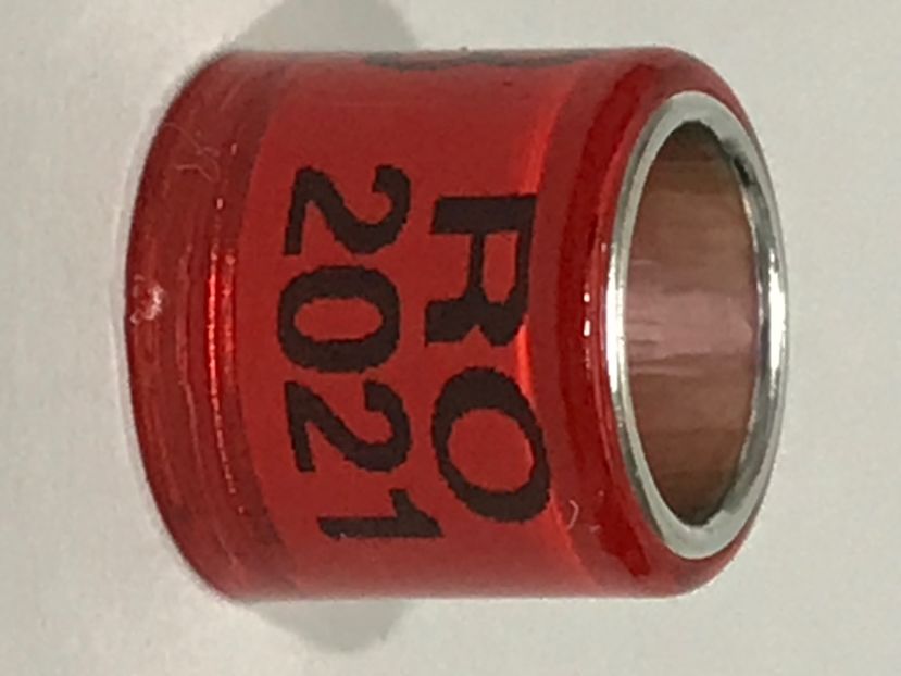 B95822CF-7184-4ED8-B58E-C9E3C68ED313 - 001 Inele Amatori 2021