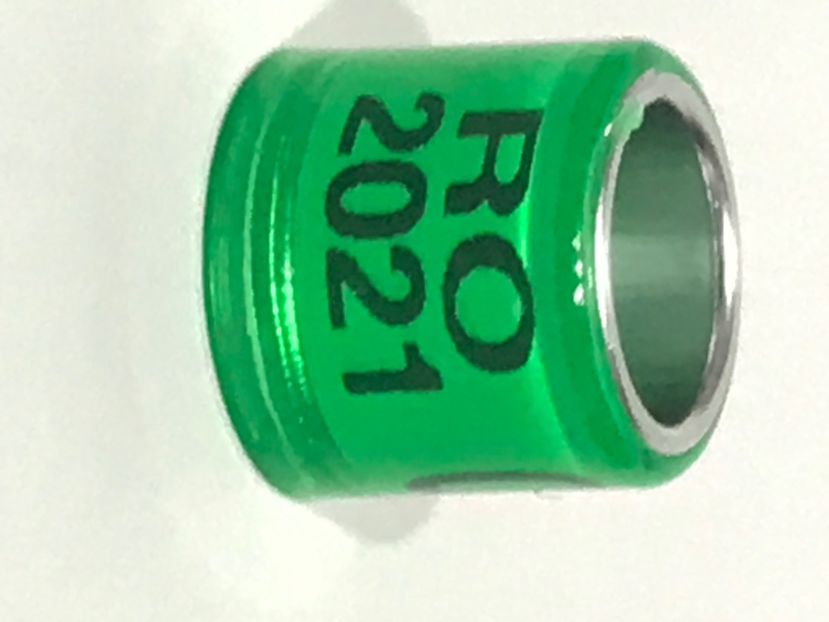 FA237E37-E861-491A-A9D1-58D7A2862E76 - 001 Inele Amatori 2021