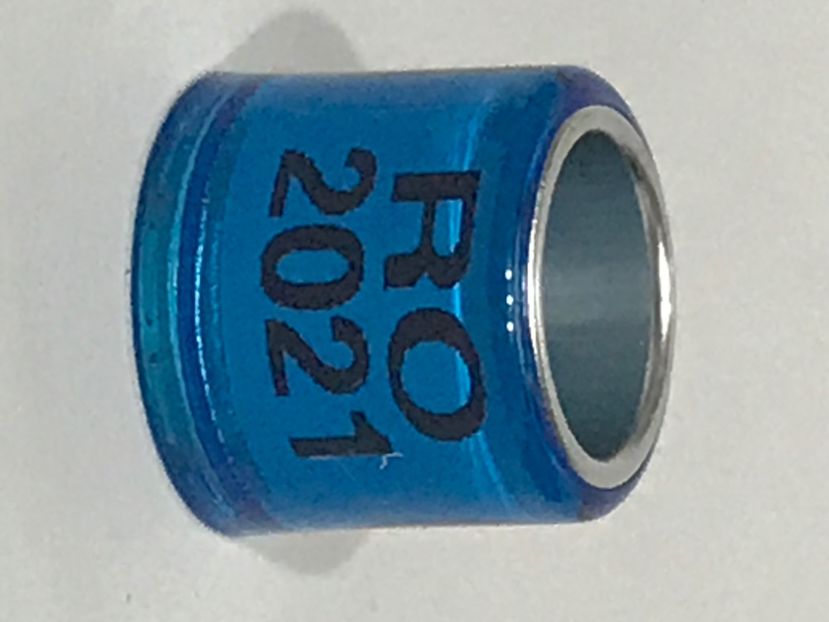 07CCDDF8-9870-44BC-961D-6954EC8498AE - 001 Inele Amatori 2021