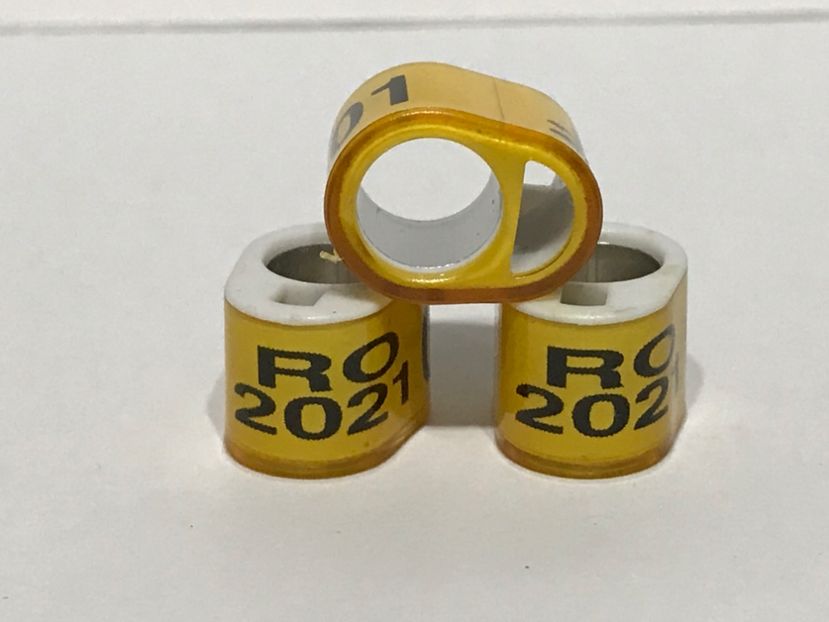 F93669F6-C0BD-4DBE-AAED-C9118714F8B1 - 001 Inele Amatori 2021