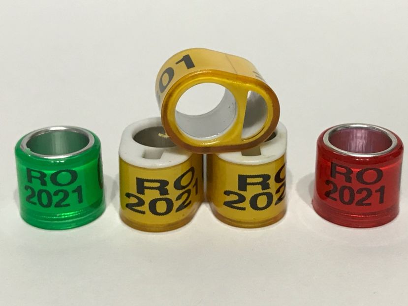 2A437299-1AEB-4C80-A7EF-3C01DB624D09 - 001 Inele Amatori 2021