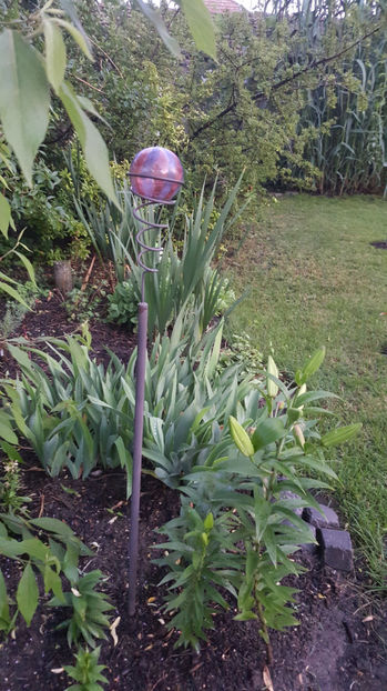 iulie 2020 - Gradina si terasa PrimaLuce_7-Hello 2020