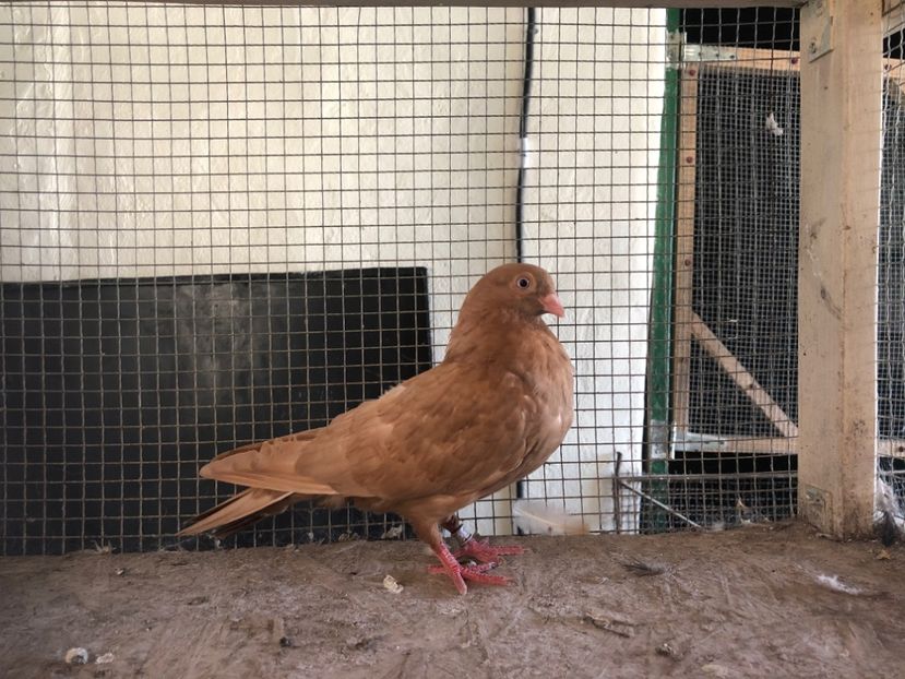 23/18 - 3-lot zbor 2020