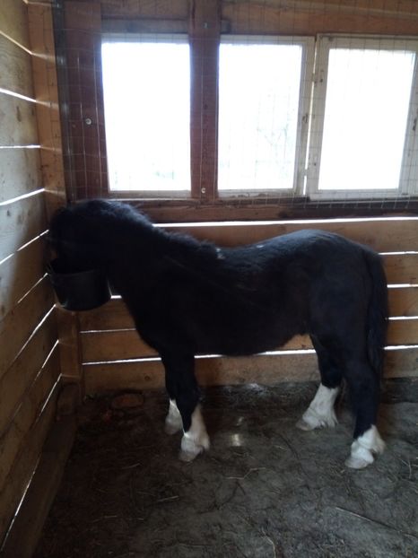 08.07.2020 """ - 21-Ponei magar alpaka