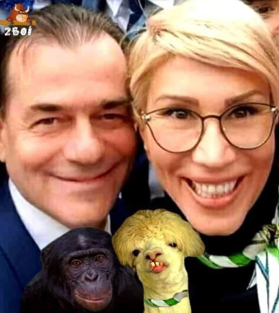  - Poze haioase pamflet