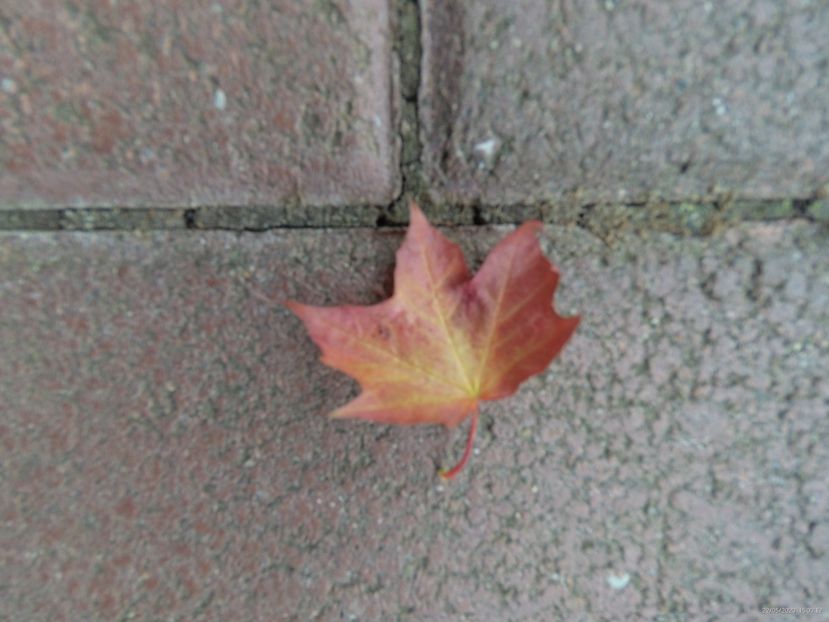 C8895116-735B-4799-AFC5-B4518DF6F4D6 - 22 Mai 2020