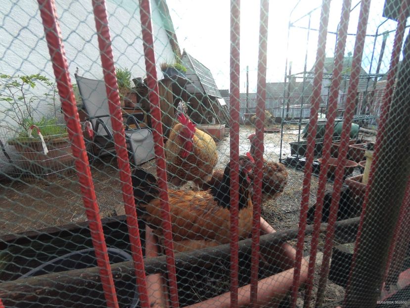 92D4FC47-0100-4DA7-9EF7-8F69A211F274 - 05 Iunie 2020