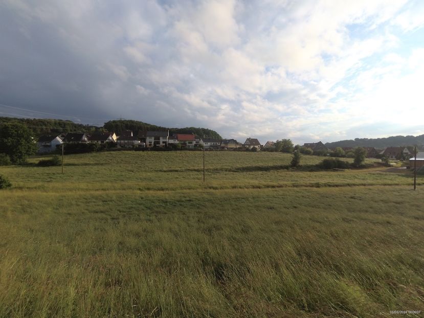 8CF317BE-14B3-4A0F-9E3E-04254486D736 - 05 Iunie 2020