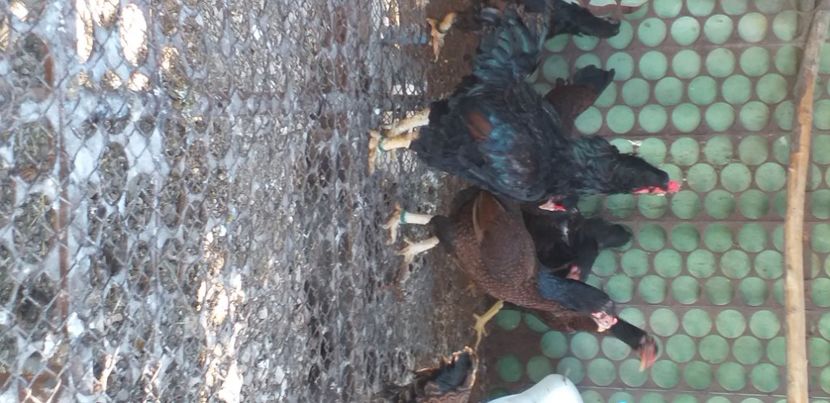  - CONTACT  0722580917