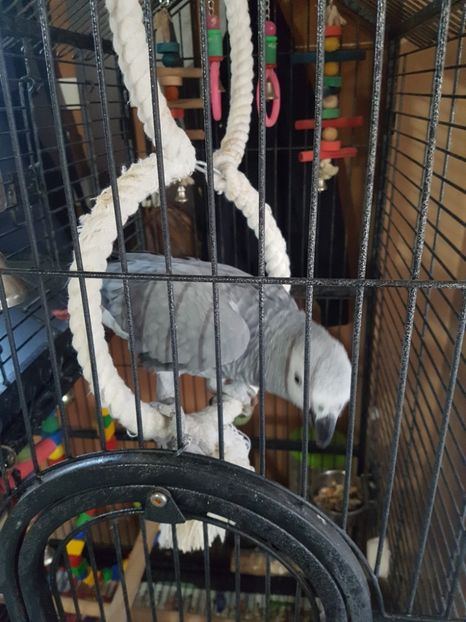 FA98EB75-F957-4AD6-B0AA-D81C115F9D94 - Pako