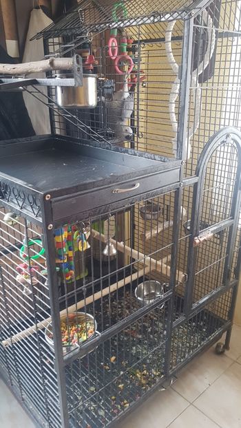 DD798DCF-CDE2-4E4C-81B0-BB13AF0397C0 - Pako