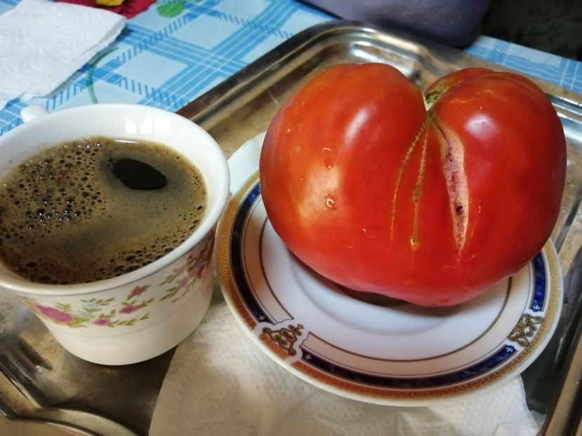  - Gradina cu legume-2017-acasa recolte 2018 - 2023