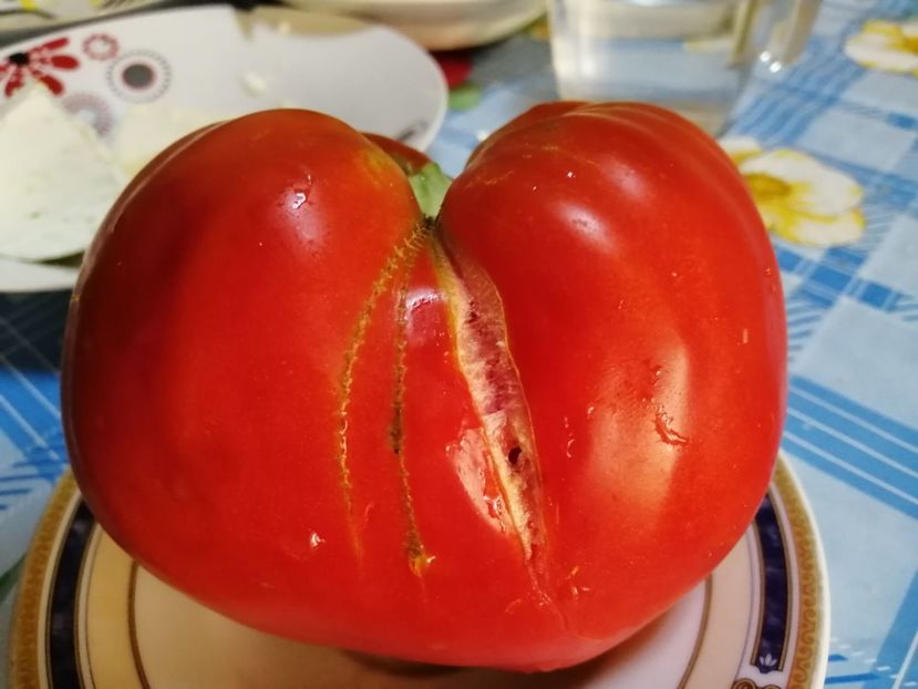  - Gradina cu legume-2017-acasa recolte 2018 - 2023