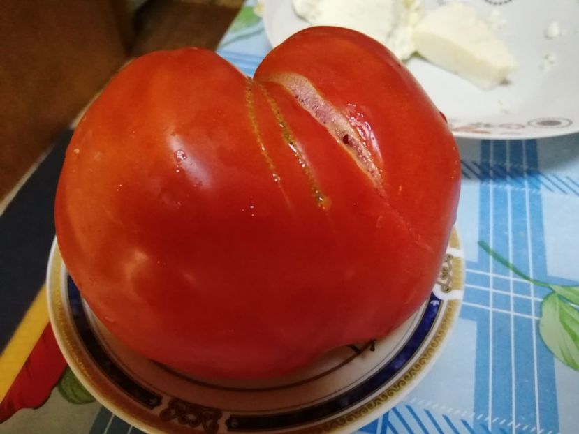  - Gradina cu legume-2017-acasa recolte 2018 - 2023