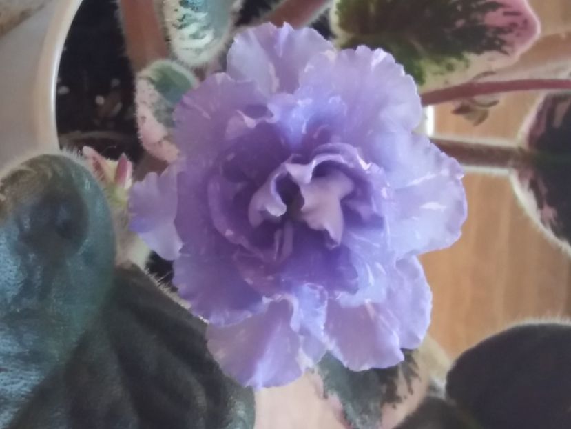  - RS Underwater Ball