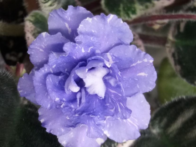  - RS Underwater Ball