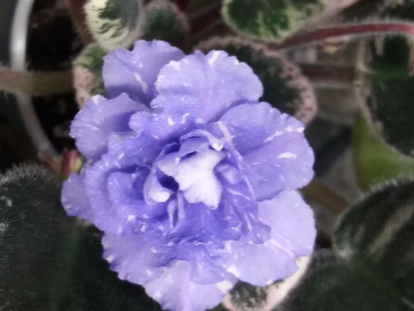  - RS Underwater Ball