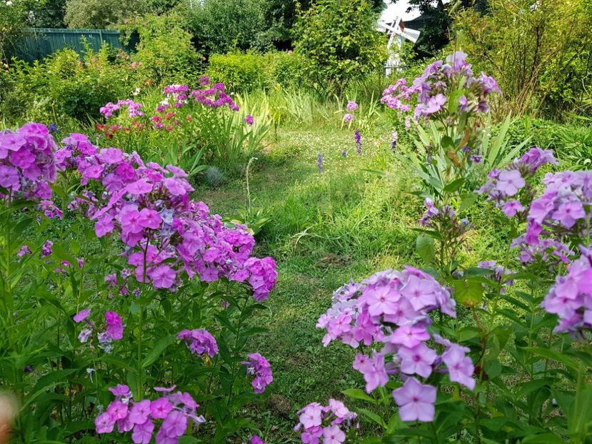  - 2020 Vara_Idilic Garden